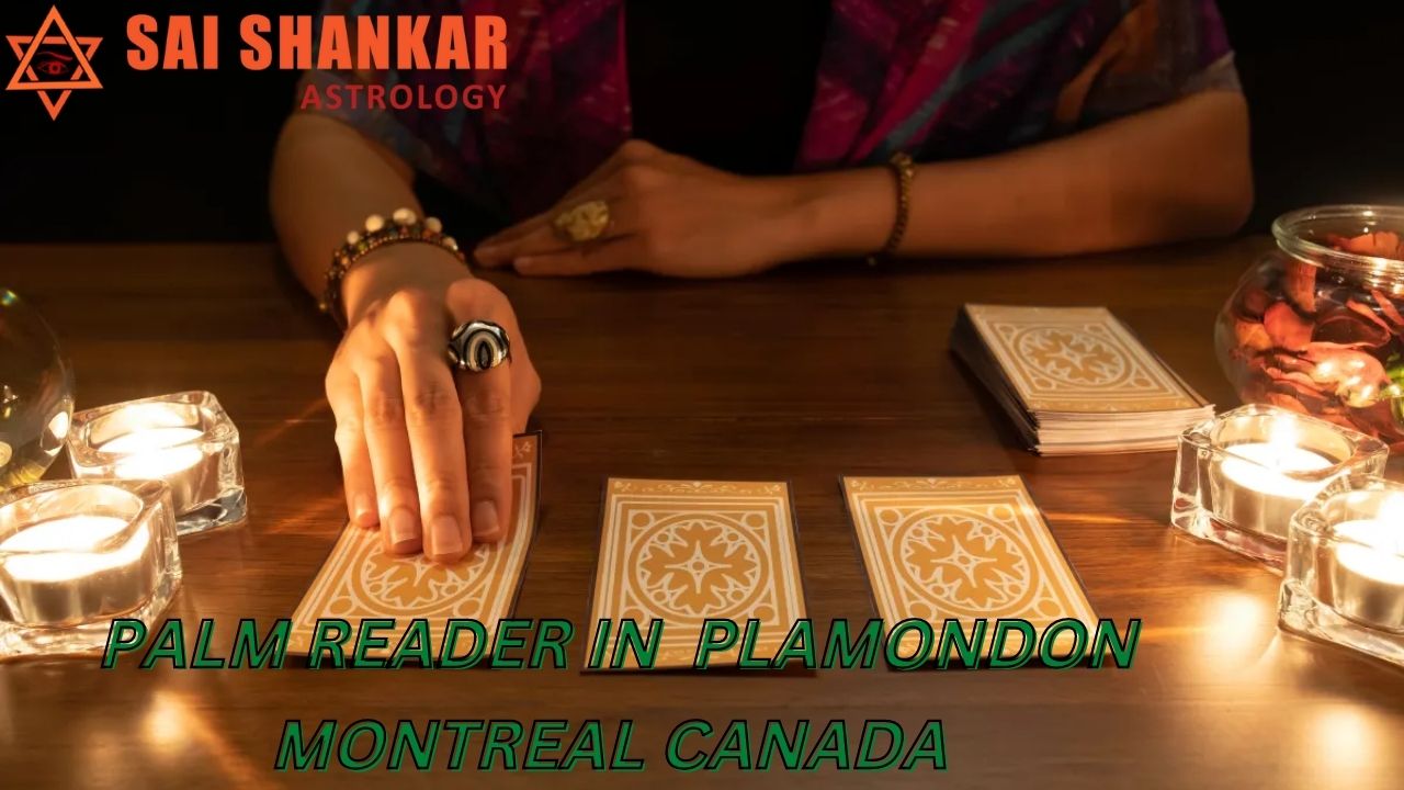   Palm Reader In Plamondon